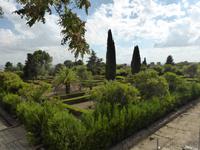 Medina Azahar oder auch Madinat al-Zahra
