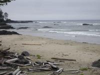 am Strand des Long Beach bei Wickaninnish Beach