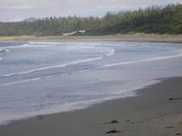 am Strand des Long Beach bei Wickaninnish Beach