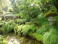 Butchard Gardens