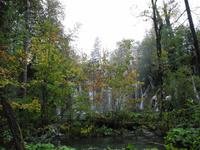 Die Plitwitzer Seen