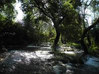 Die Krka Wasserfälle