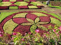 Besuch des Botanischen Garten 
