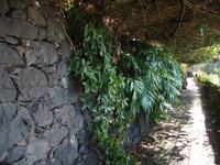 Besuch des Botanischen Garten 