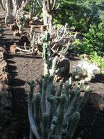 Besuch des Botanischen Garten 