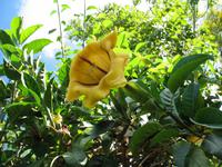 Besuch des Botanischen Garten 
