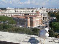 Blick zum Justizpalast in Rom mit Möwe