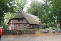 Wilsede