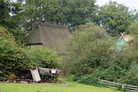 Wilsede