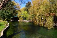 417 Peka-Essen bei Familie Grbavac