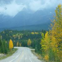 Fahrt zum Maligne See 