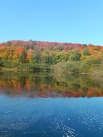 Indian Summer