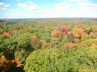 Blick von einem ehem. Feuerwachturm über die gefärbten Wälder