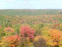 beeindruckendes Farbspiel