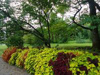 Villa Taranto_Impressionen_4