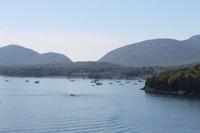 Bosten - Ausschiffung