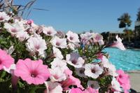 Bar Harbour - Lobster Essen