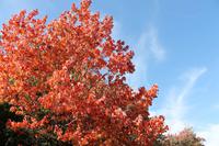 Bar Harbor - Acadia National Park