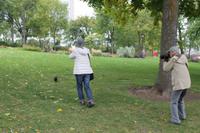 Quebec - Stadtrundfahrt