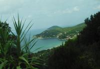 Blick auf die Bucht von Procchio