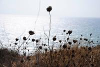 Blick auf das Meer von den Ausgrabungsstätten Selinunte