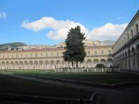 Padula, Kartause