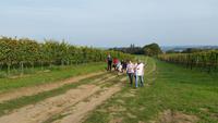 Wein, Weib & Gesang in Meißen – Benjamin´s Treuekundenreise