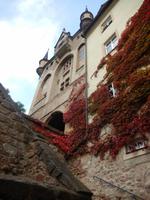 Wein, Weib & Gesang in Meißen – Benjamin´s Treuekundenreise