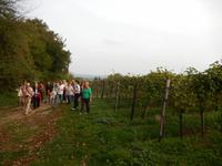 Wein, Weib & Gesang in Meißen – Benjamin´s Treuekundenreise