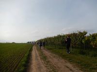 Wein, Weib & Gesang in Meißen – Benjamin´s Treuekundenreise