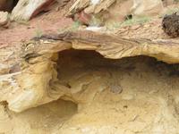 Sandsteinformen im Capitol Reef