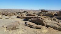 20140920_092337