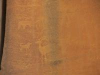 indianische Felszeichnungen im Capitol Reef