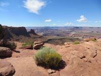 Canyonland