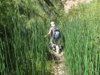 im verlorenen Canyon