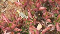 20140924_135939