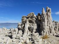 am Mono Lake