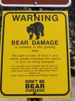 Bear Damage