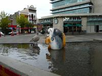 In Victoria