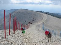 Aufstieg auf den Mont Ventoux