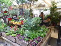 Innenhof eines Restaurants