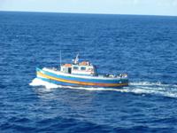 auf Fischfang