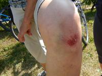 Eines schöner als das Andere