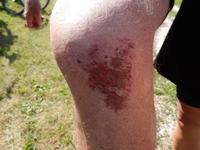 Eines schöner als das Andere