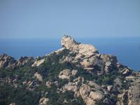 Aussichtspunkt von der N 198 - Löwenkopf