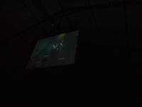 SAM_0976