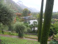 SAM_0989