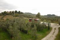 09.10.2014 Weingut bei Empoli