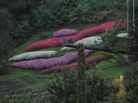 Schloss Trauttmansdorff-  Botanischen Garten 