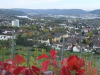 Blick vom Petrisberg auf Trier